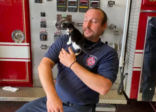 Los bomberos de Raynham rescatan a un gatito atascado en una alcantarilla