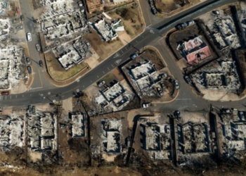 El jefe de los servicios de emergencia de Maui dimite tras recibir críticas por no activar las sirenas durante un incendio