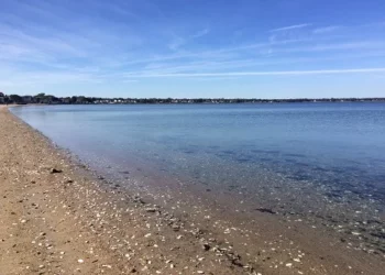 Se recomienda cerrar al público 4 playas de RI debido a las bacterias