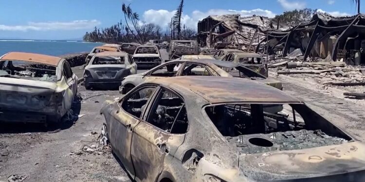 Las autoridades de Maui intentan encontrar a más de 800 personas desaparecidas tras los mortíferos incendios forestales