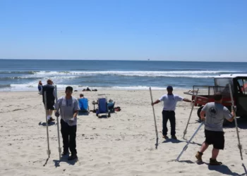 Mujer gravemente herida tras ser atacada por un tiburón en Nueva York: primer caso en 50 años