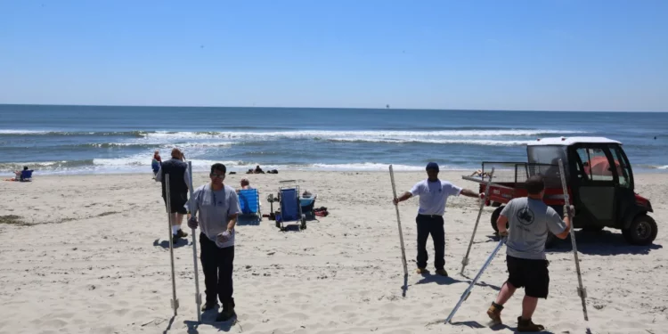 Mujer gravemente herida tras ser atacada por un tiburón en Nueva York: primer caso en 50 años