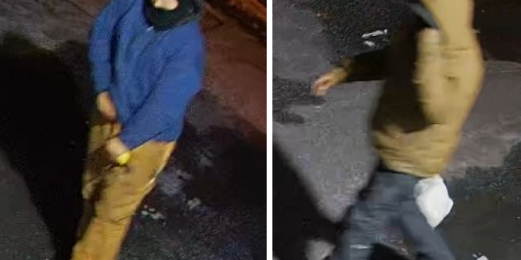 2 acusados de robar catalizadores en Bristol