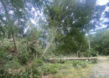 Continúa la limpieza tras el paso de un tornado por Massachusetts