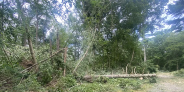 Continúa la limpieza tras el paso de un tornado por Massachusetts