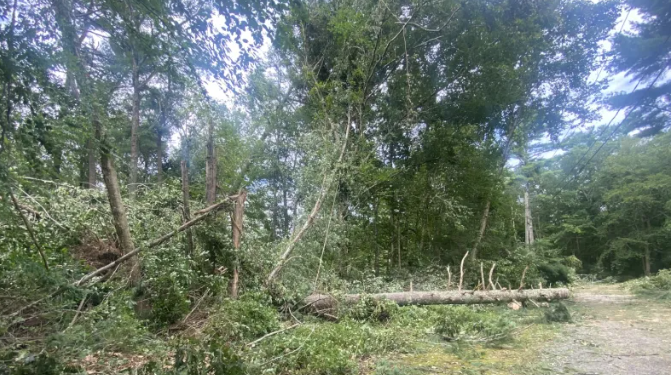 Continúa la limpieza tras el paso de un tornado por Massachusetts